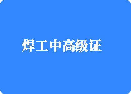 大鸡吧操欧美女人焊工中高级证